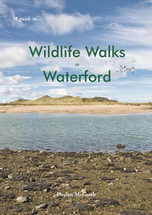 Walks Cover