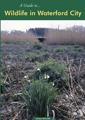 City Cover